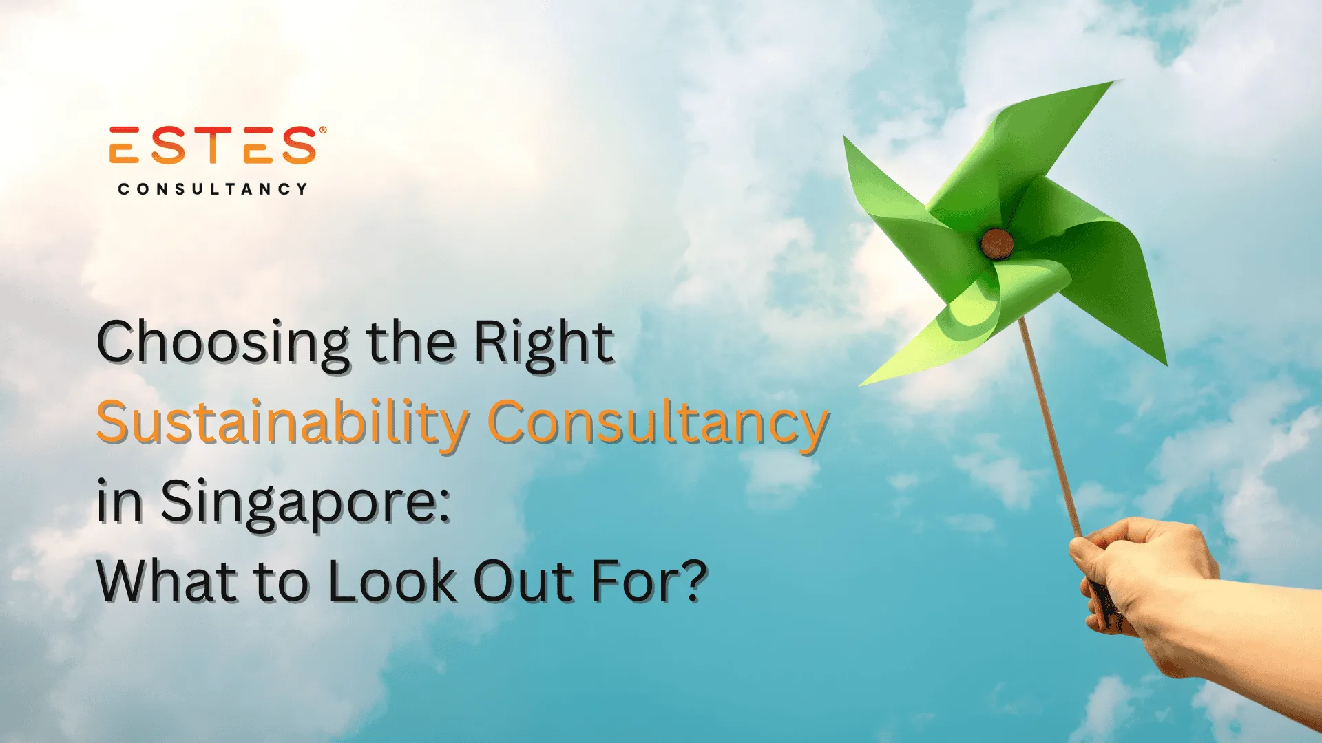 Choosing the Right Sustainability Consultancy in Singapore What to Look Out For