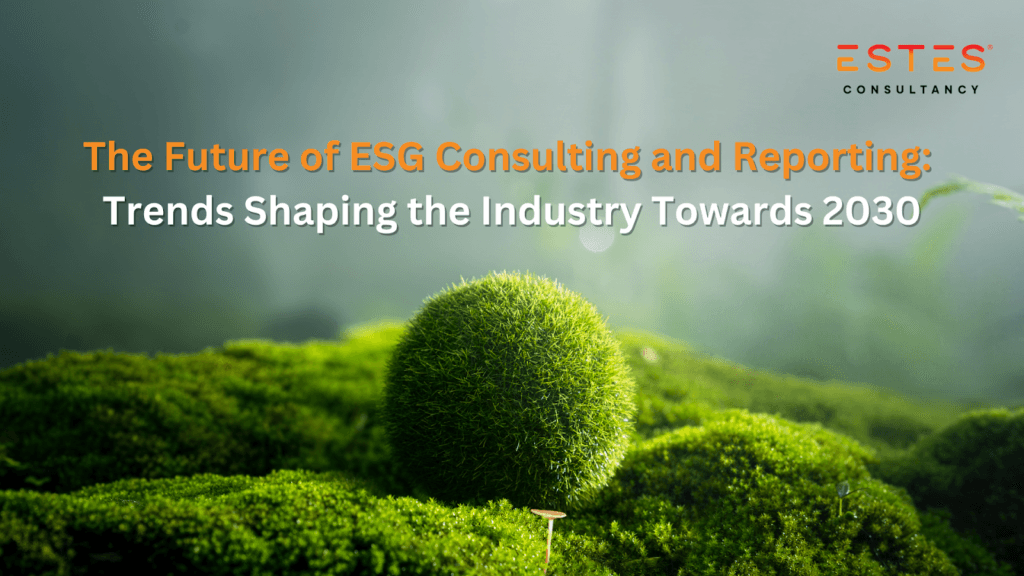 ESG consulting and reporting experts discussing sustainability strategies for 2030.